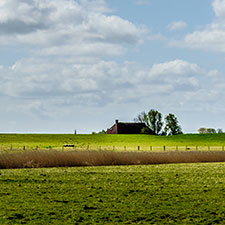 Lauwersmeer