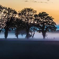 Landschap, Drenthe