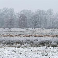 Winterse lagen, Roden